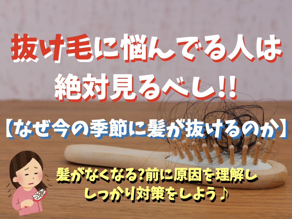 秋冬の抜け毛が気になるアナタへ なぜ今の季節に髪が抜けやすいのか 原因と対策を考える 神戸三宮の美容室 Kiki Kobe
